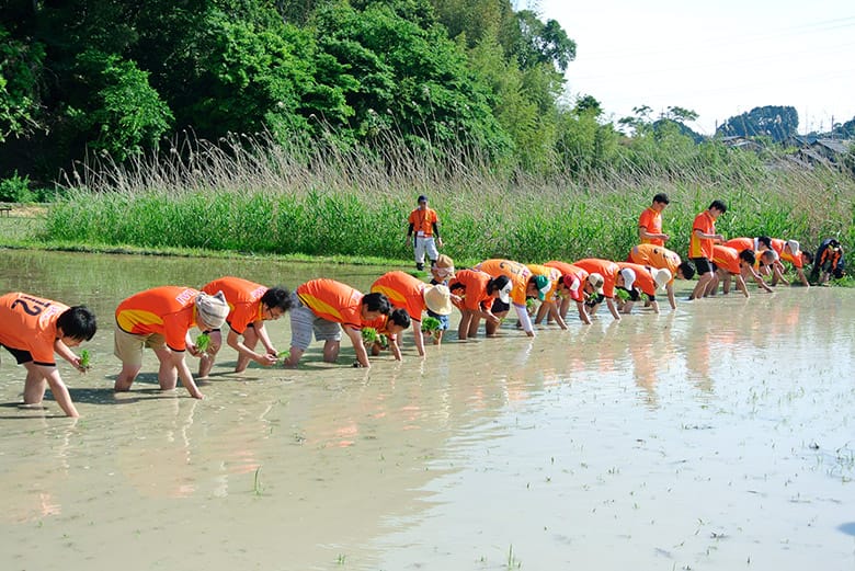 菊川ジュニアビレッジの子供たちと田植えをする様子